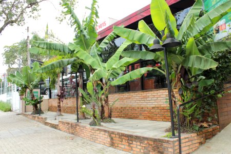 Mago Jardineiro