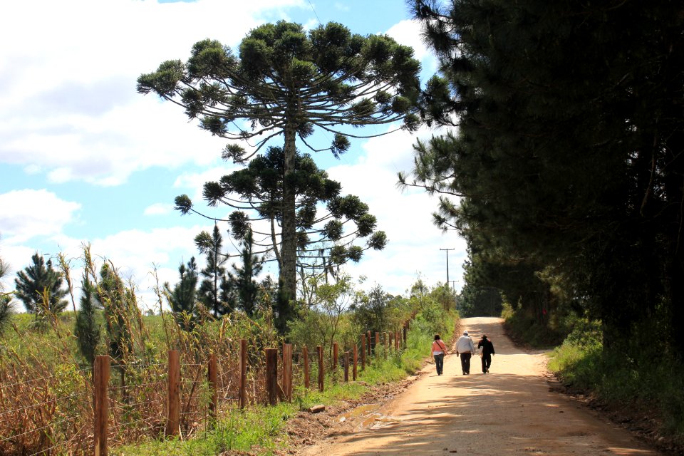 Caminhada na Natureza Lapa PR