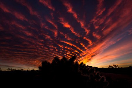 Sunrise from the Cottonwood Area