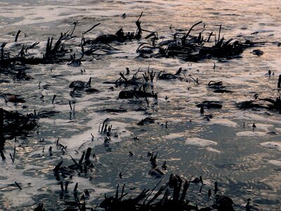 Cold nature alone