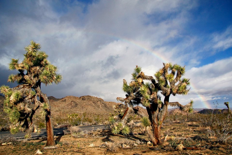 Rainbow on a stormy day