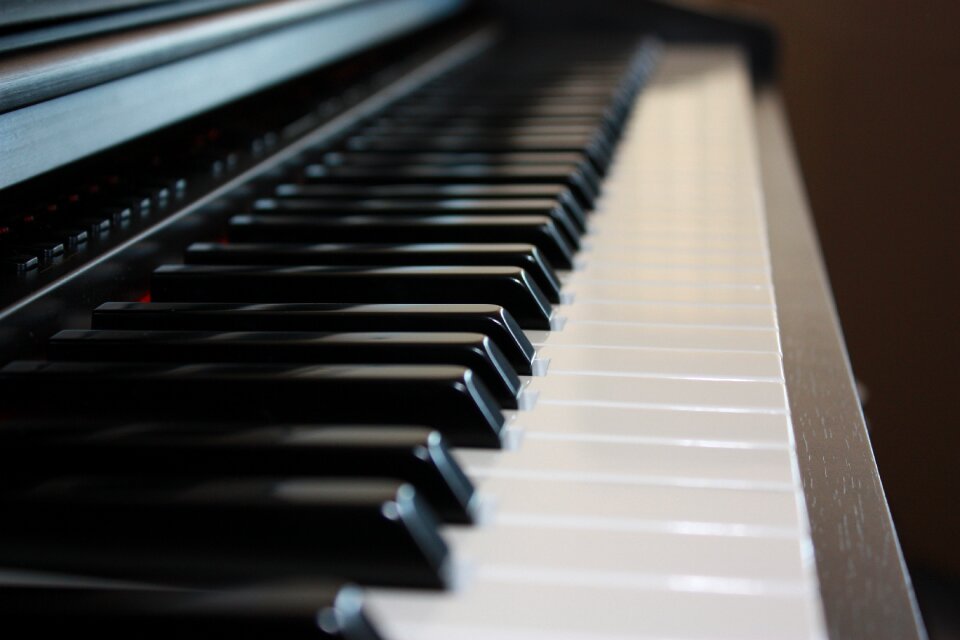 Black musical instrument