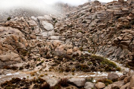 Rattlesnake Canyon during rain