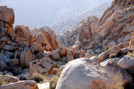 Indian Cove Campground; Twentynine Palms, CA photo