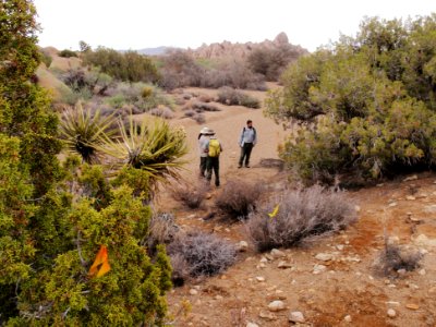 Trail crew & physical scientist; Skull Rock