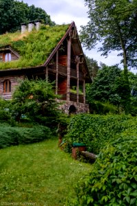 20170701- DSC0016.jpg