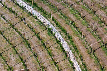 Fields arable ground