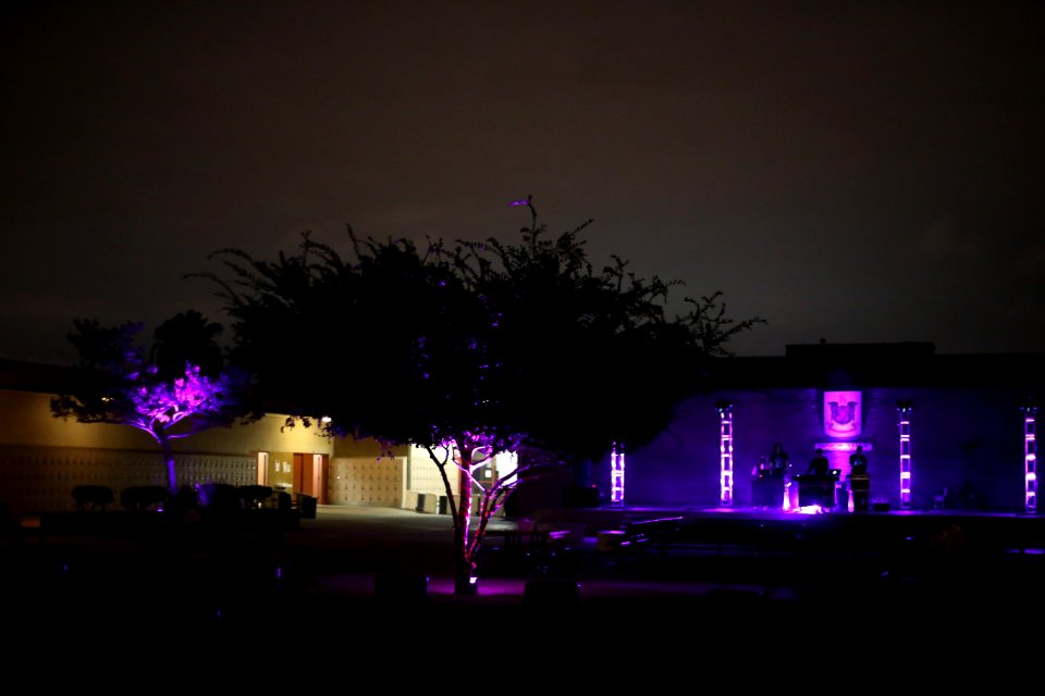 IMG 9527