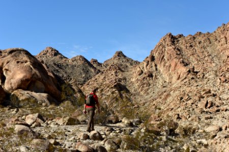 Hiking in the Coxcomb Mountains