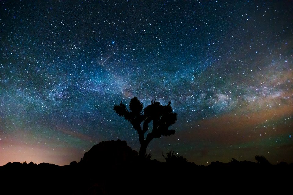 Milky Way Galaxy of Joshua Tree photo