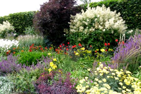 Herbaceous border, Lower Lovetts Farm (2) photo