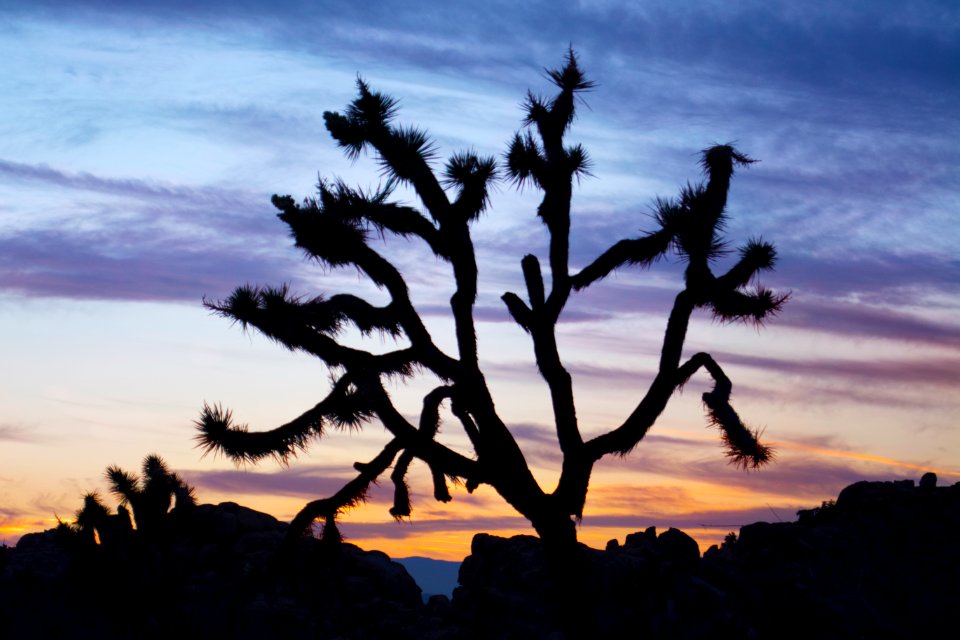 Blue Hour and Sunset in the Echo Rock Area