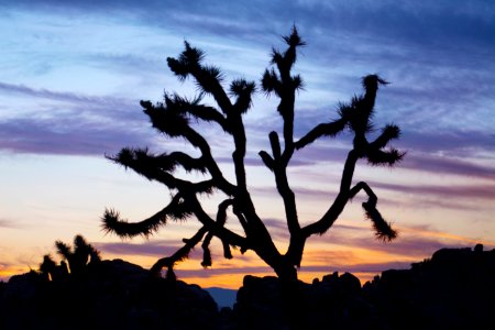 Blue Hour and Sunset in the Echo Rock Area