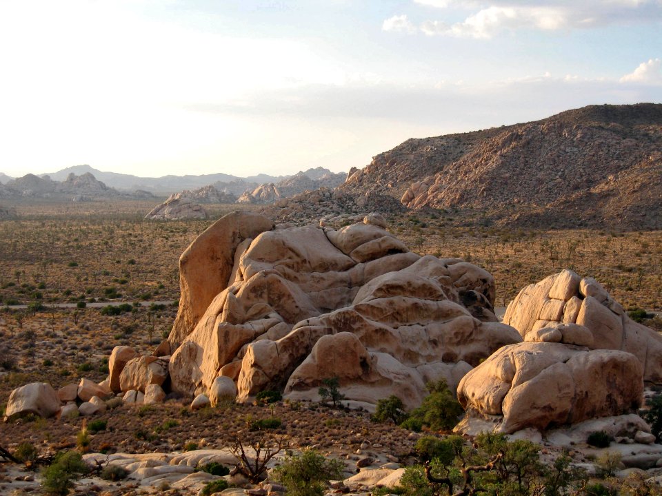 View from Ryan Mountain Trail