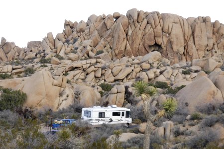 Jumbo Rocks Campground