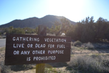 Vegetation Sign