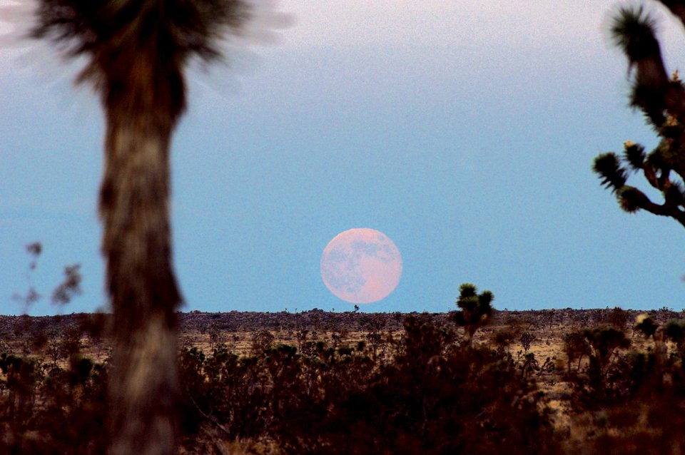 Supermoon rising over Queen Valley