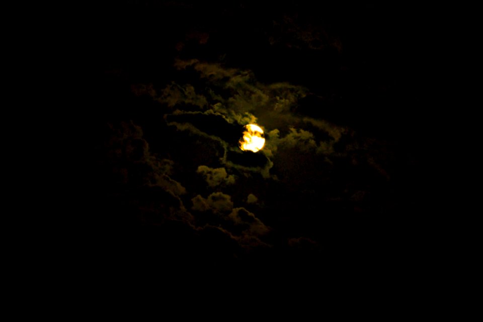 Thanks to Native Americans for the Deer Moon