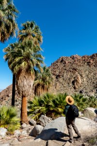 Visitor in the 49 Palms Oasis Trail