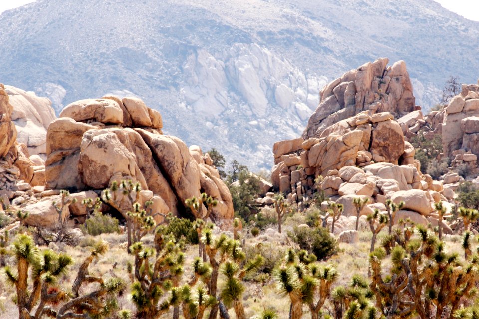 Hidden Valley Boulders