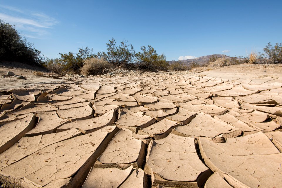 Cracked earth near Turkey Flats