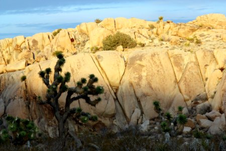 Split Rock Loop Trail