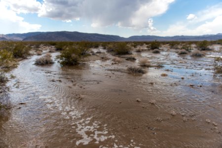 Flooding from monsoon rainfall in the Pinto Basin; Fried Liver Wash