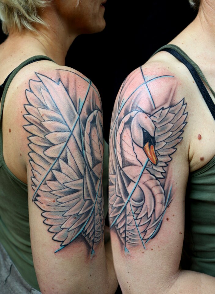 Tattoo swan shoulder