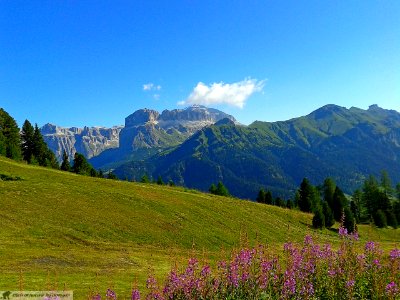 DAM2045 - Passo Sella e Passo Pordoi vista dal Ciampac