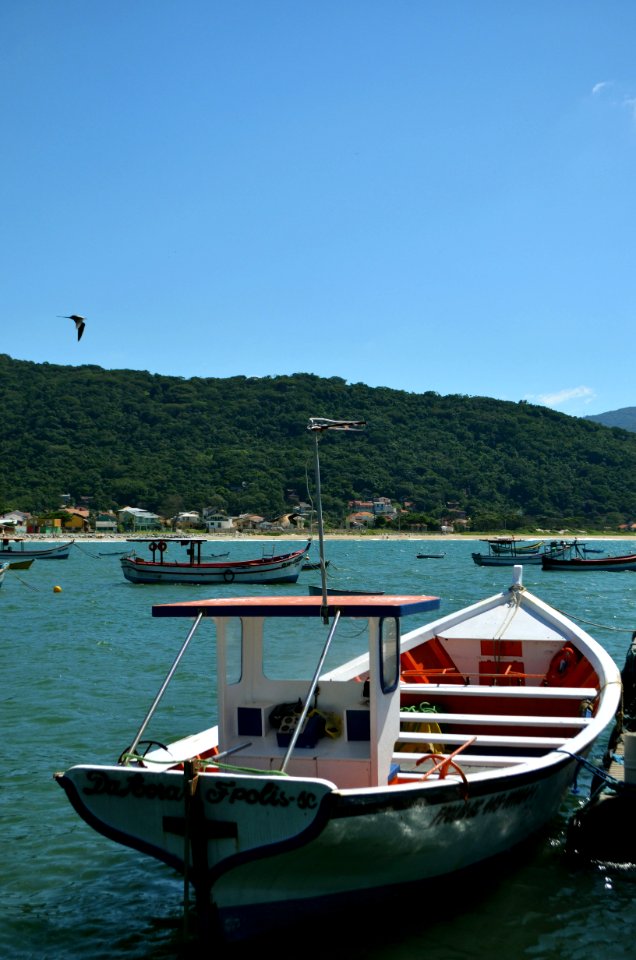 Praia da Armação, Florianópolis