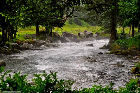 DAM1631 - Torrente velato photo