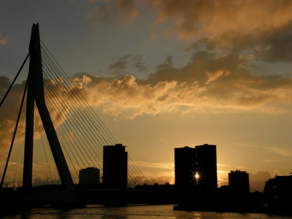 Rotterdam erasmus bridge port