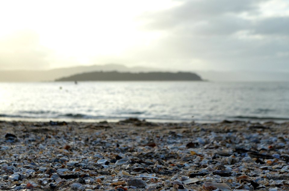 Sambaqui, Florianópolis