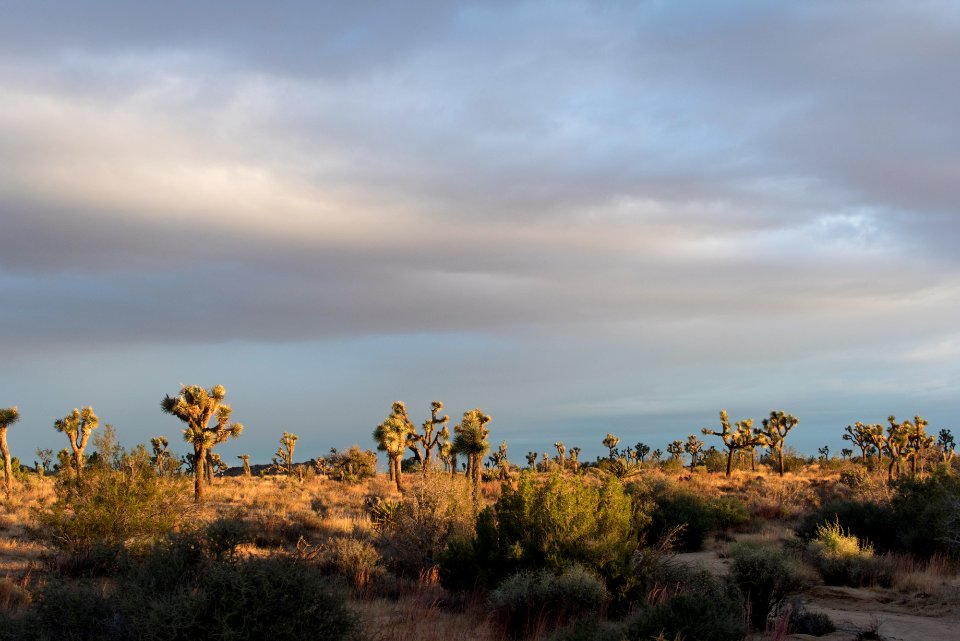 Sunrise near West Entrance
