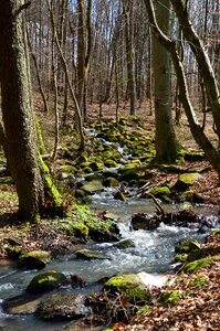 Bach creek stones photo