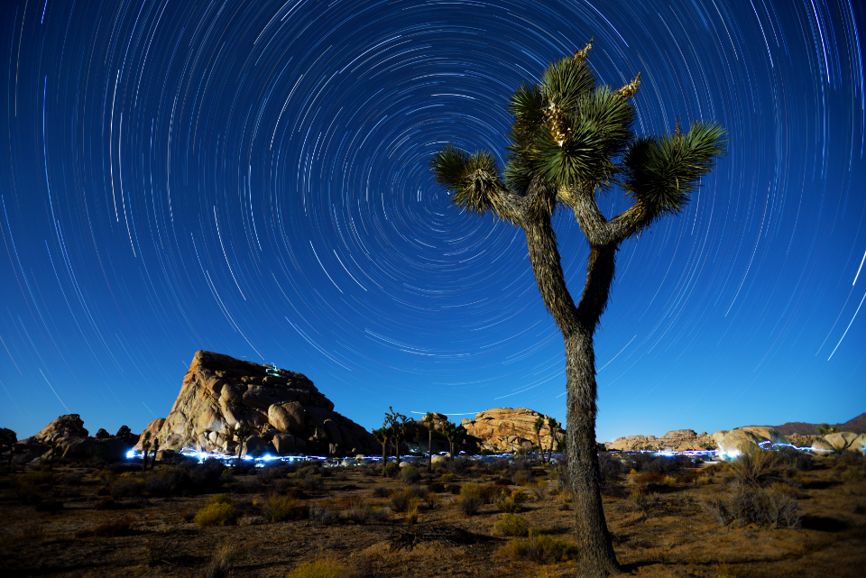 Star trails near Hidden Valley Campground