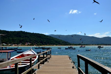 Praia da Armação, Florianópolis