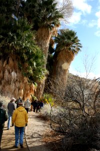 Cottonwood Spring Oasis