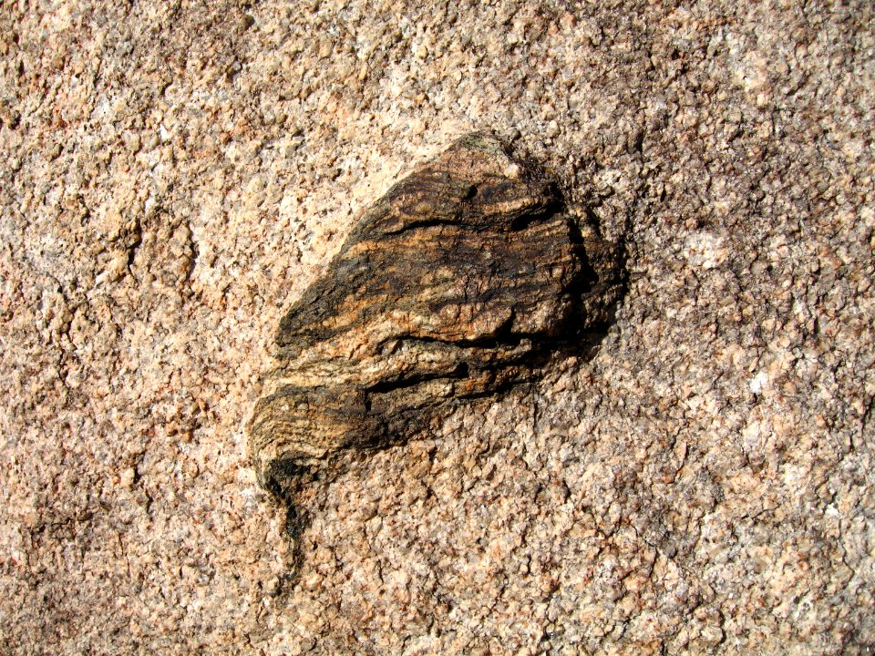 Gneiss xenolyth in monzogranite in Hidden Valley