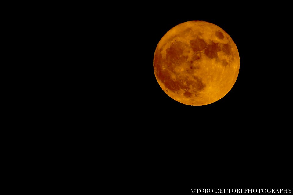 Fly me to the moon let me play among the stars