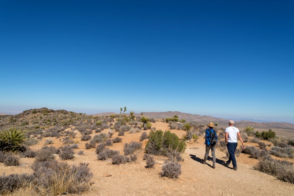 Summit of Ryan Mountain