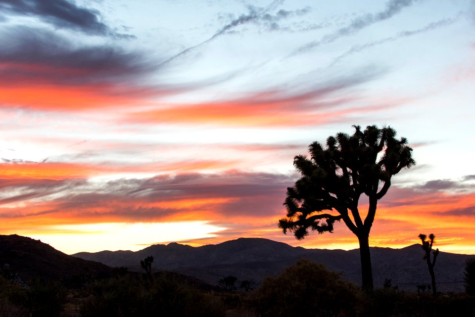 Sunset near Cap Rock