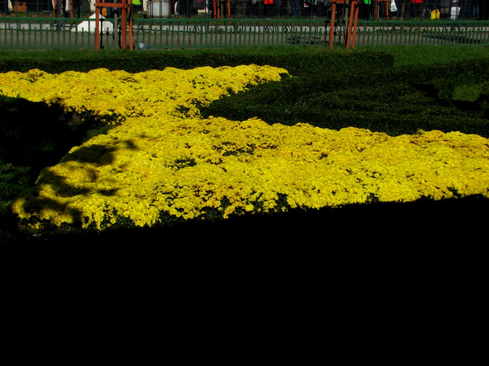 autumn Unirii-Square (57)