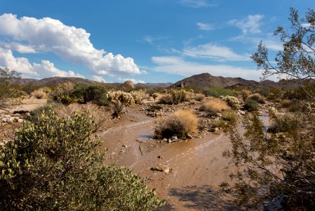 Flash flooding near North Entrance, 8/26/15