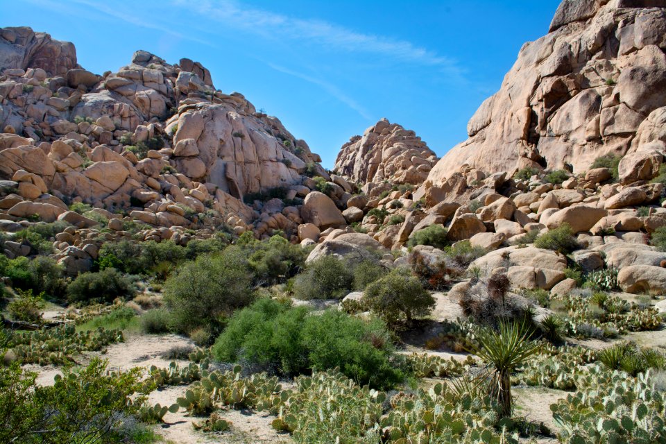 Wonderland of Rocks