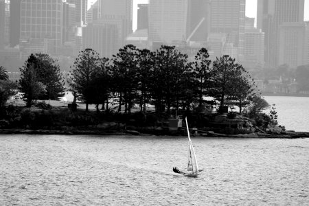 The city, the island, the boat