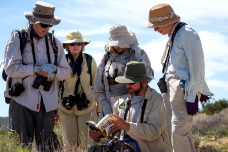 Earthwatch Volunteers Using a Field Guide to Identify Birds photo