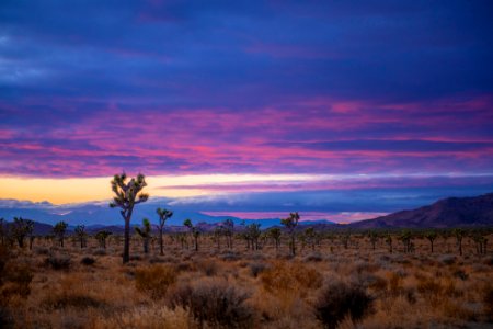 Sunset over Queen Valley