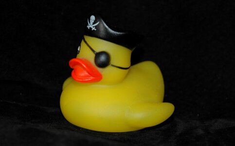 Duck pirate toys