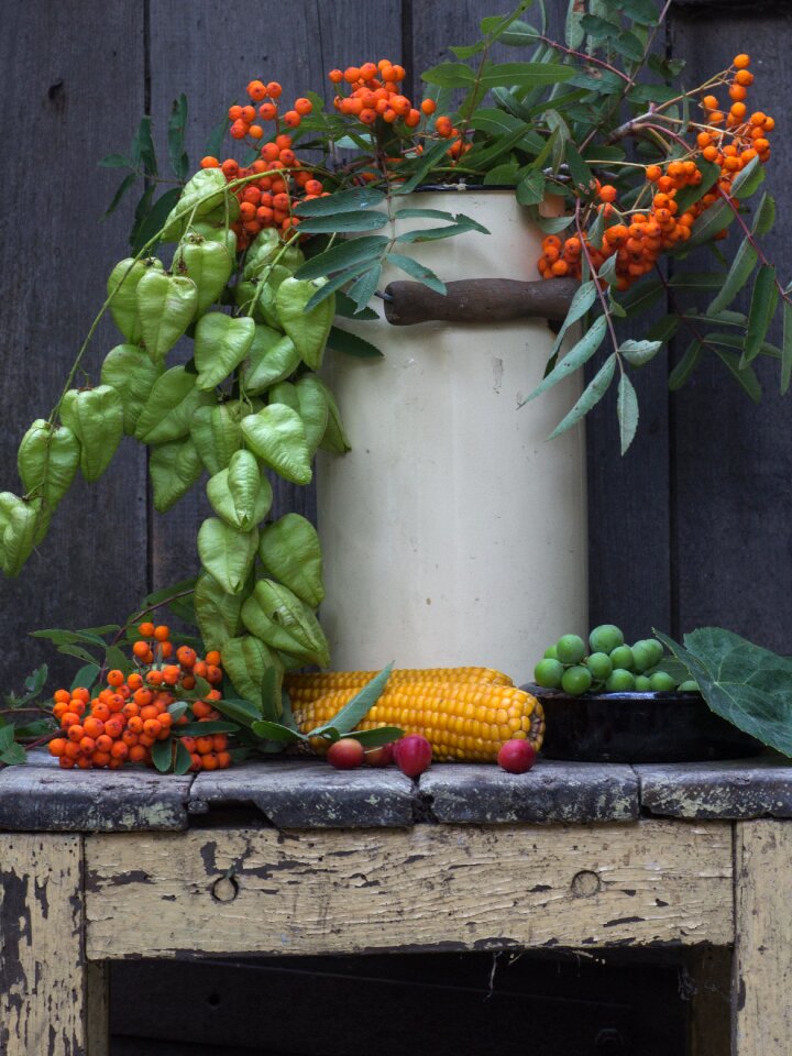 Berries corn on the cob wooden door